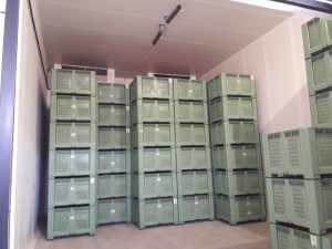 Zöldség-gyümölcs tárolók